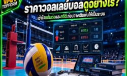 ราคาวอลเลย์บอลดูอย่างไร? เข้าใจแต้มต่อและสถิติก่อนวางเดิมพันให้เป็นระบบ