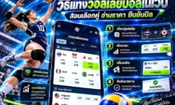 วิธีแทงวอลเลย์บอลในเว็บ สอนเลือกคู่ อ่านราคา และยืนยันบิล