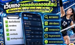 เว็บแทงวอลเลย์บอลออนไลน์ เลือกอย่างไรและต้องเช็กอะไรบ้าง?