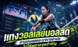 แทงวอลเลย์บอลสด อ่านเกมสดและราคาอย่างไรให้ไม่พลาดจุดสำคัญ