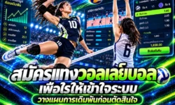 สมัครแทงวอลเลย์บอลอย่างไรให้เข้าใจระบบและวางแผนการเดิมพันก่อนตัดสินใจ?